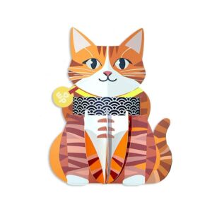 Wallypops kaart rode kat