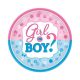 gender reveal bordjes