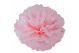 Duo set pompoms roze (25 en 35 cm)