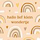 Artige tegel hallo lief klein wondertje 